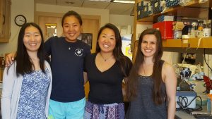 Lab group 2018