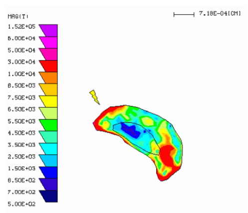 Animated traction map of a keratocyte